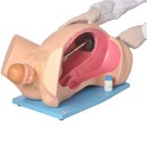 Simulador de Parto Clássico-CS/AT/TGD-0374