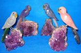 Pequenos pássaros com Base
