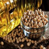 REFİNED SOYBEAN OİL