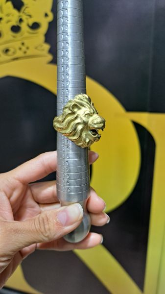 LEÃO DE JUDA