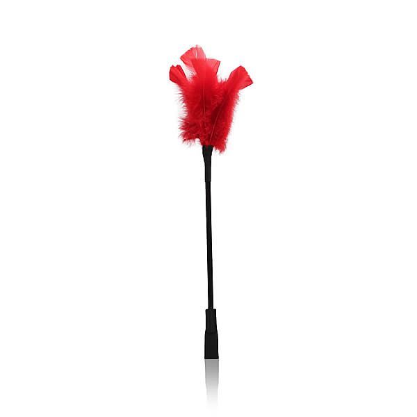 Love Pluma Pequena - Vermelha