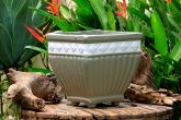 Vaso Grego