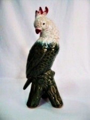 Cacatua Branca e Verde