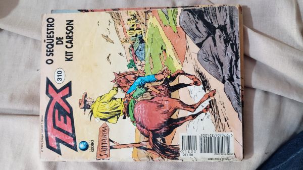 TEX GLOBO MENSAL NR 310