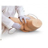 Simulador de Cateterização Feminino-CS/SK-LF 00856U
