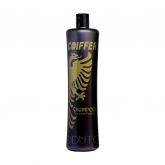 Shampoo Blindagem dos fios Coiffer 1L Limpeza profunda