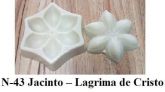 Jacinto-Lágrima de Cristo(n-43)