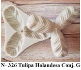 Tulipa Holandesa Conj. G(n-326)