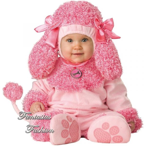 Poodle Ref2384