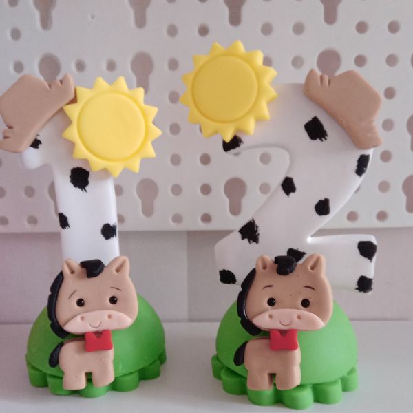 Vela fazendinha menino