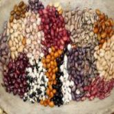 BEANS A+ GRADE