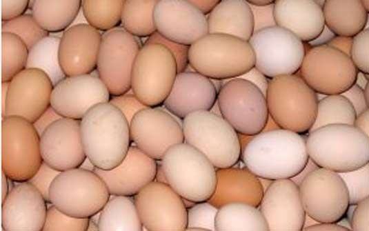 OVO FÉRTEIS (GALINHA CAIPIRA) EMB. C/30