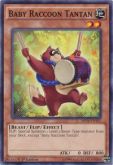 Baby Raccoon Tantan MP14-EN137