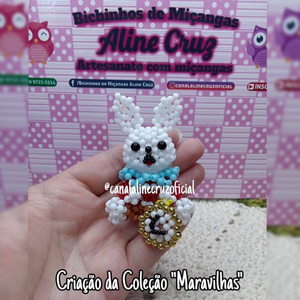 VIDEO AULA DO COELHO DA ALICE