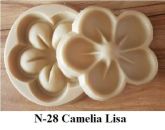 Camélia lisa (n-28)