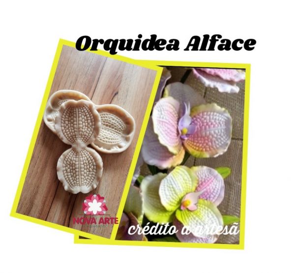 Orquídea Alface (N-329)
