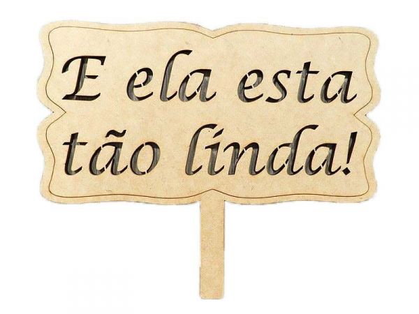PLACA E ELA ESTA TÃO LINDA