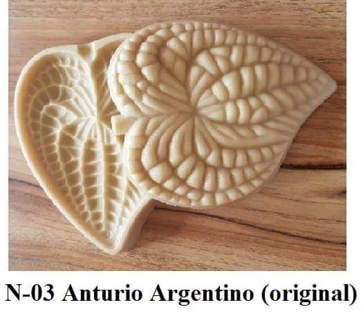 Anturio Argentino(n-03)