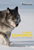 Jornada Xamânica - Um Guia para Principiantes
