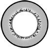 circle lens-Princess Pinky Eclipse Grey