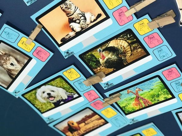 21ªAPOSTILA: ANIMAIS EM LIBRAS