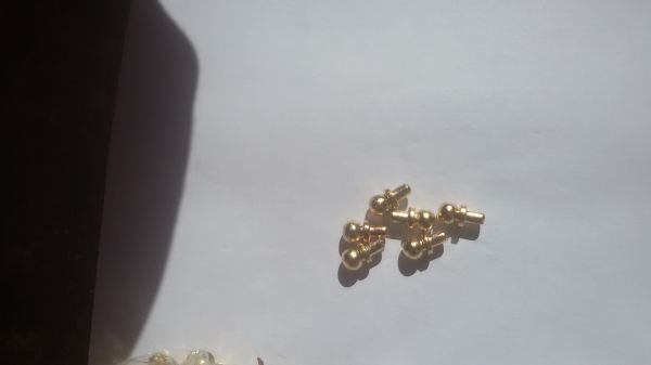 pitão dourado