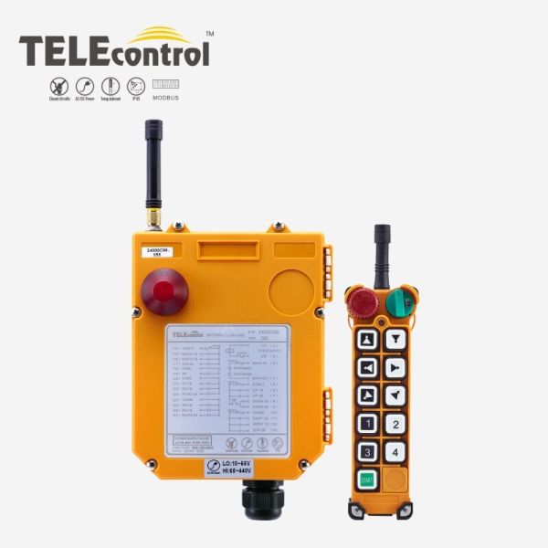 Controle Remoto Industrial  F24-10D