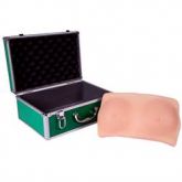 Modelo P/Auto Exame de Mama-CS/AT/TGD-4050