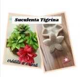 Suculenta Tigrina