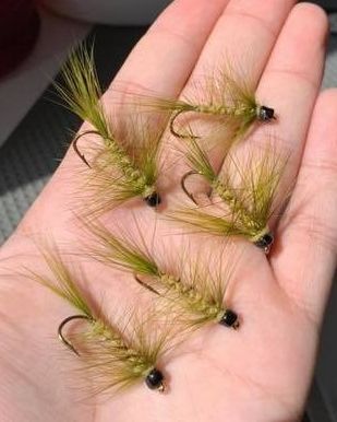 VS Nymph
