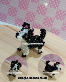 VIDEO AULA BORDER COLLIE