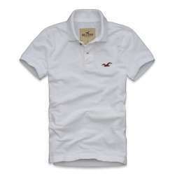 Polo Hollister HO2031