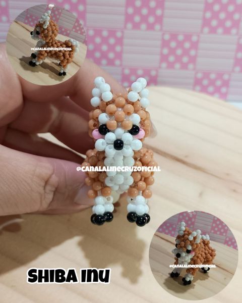 VIDEO AULA SHIBA INU