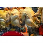 FROZEN DUCK