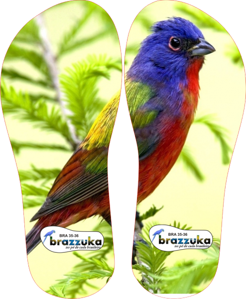 COLEÇÃO ANIMAIS-02