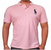 Camisas Polo Ralph Lauren Várias Cores