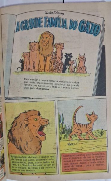 Gibi Almanaque Tio Patinhas 40 Na mais completa miséria - 1968
