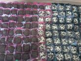 Kit Sortidos de Doces