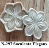 Suculenta Elegans(n-297)
