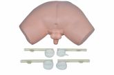 Simulador P/ Exame de Próstata-CS/SD-4048