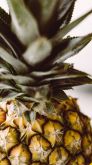 PLANO ALIMENTAR  + BIOIMPEDÂNCIA - MORENA SILVA DE JESUS