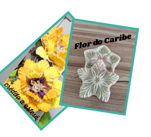 Caribe (n-500)