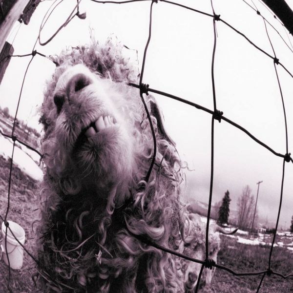 Pearl Jam - Vs. CD Nacional!!!