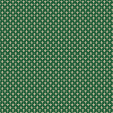 VERDE MUSGO