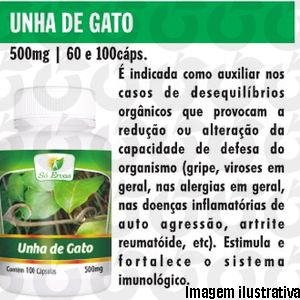 Unha de Gato 100 Cápsulas 500mg Só Ervas