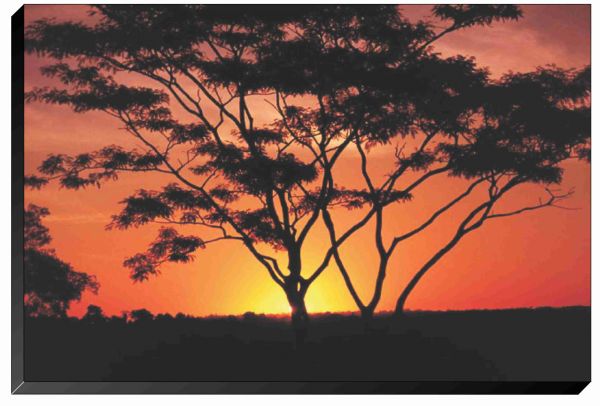 Quadro Decorativo 70x50 - Personalizável