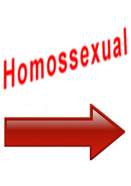 Camiseta Homossexual