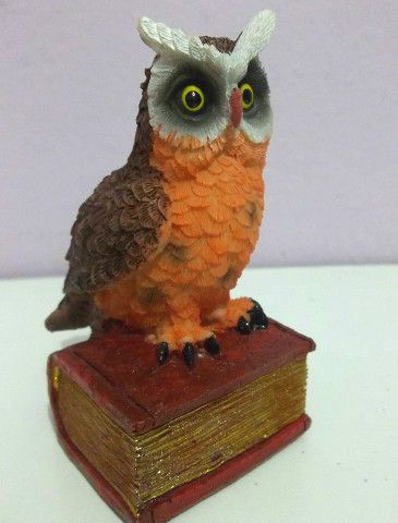 Coruja Livro
