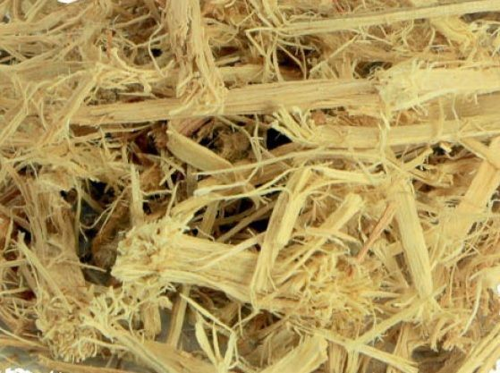 Mamica De Cadela 100g