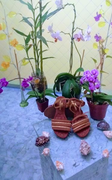 Sandália traseira tradicional 5 fios REF: 401